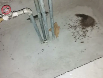 诸暨卫生间测漏水价格明细