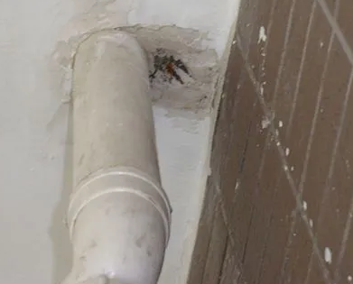 诸暨漏水检测哪家好